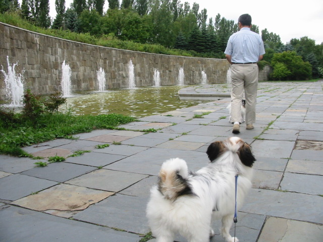 f0122259_1912114.jpg
