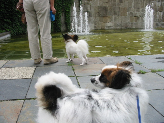 f0122259_1912437.jpg