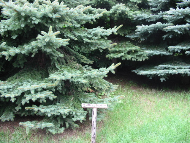 f0122259_1994561.jpg