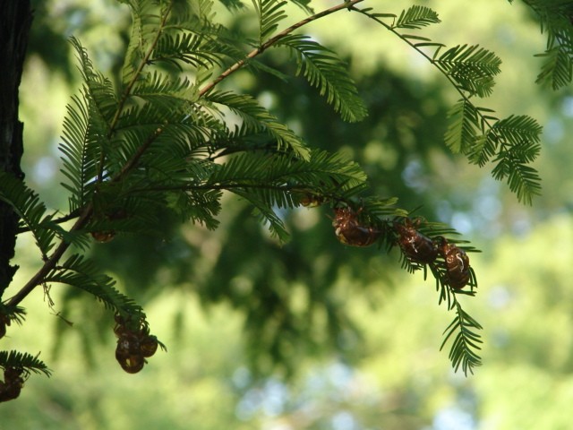 b0061261_21191596.jpg