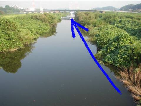 b0061261_21243468.jpg