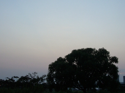 b0069169_2013584.jpg