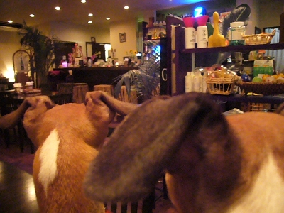b0069169_20249100.jpg