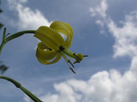c0042869_719998.jpg