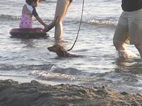 c0133470_22423911.jpg