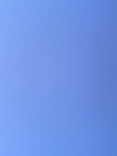 d0078172_20464925.jpg