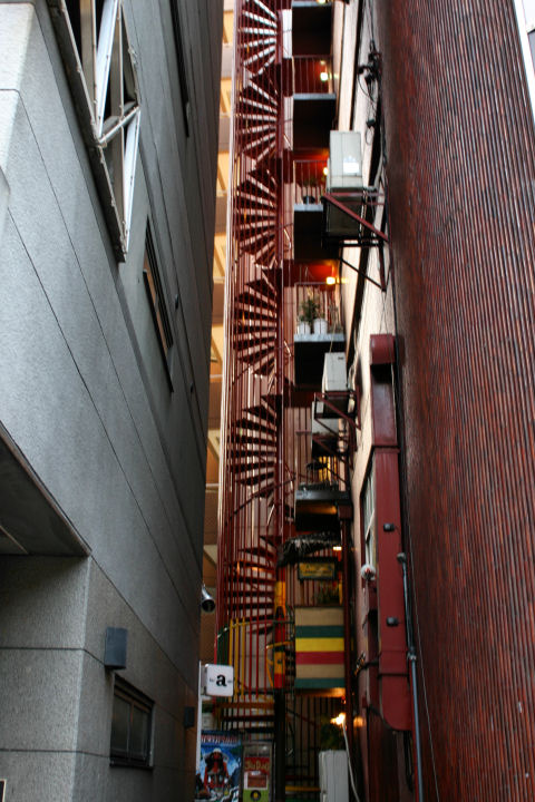 d0079373_1103253.jpg