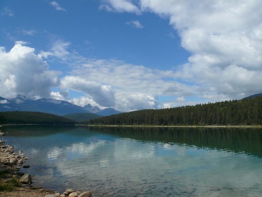 a0100975_1139156.jpg