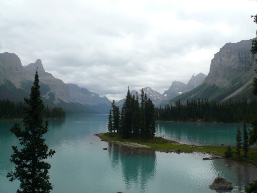 a0100975_12314262.jpg