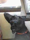 b0000885_6243544.jpg