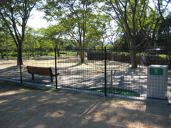 c0130389_013935.jpg