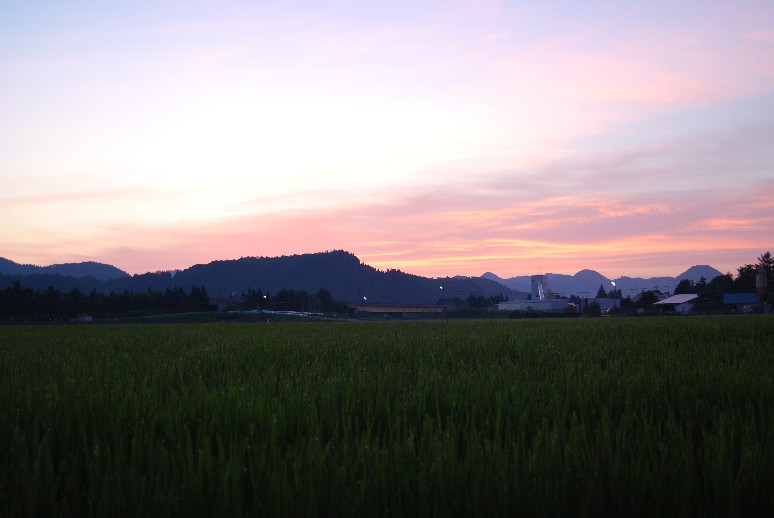 d0085096_11573030.jpg