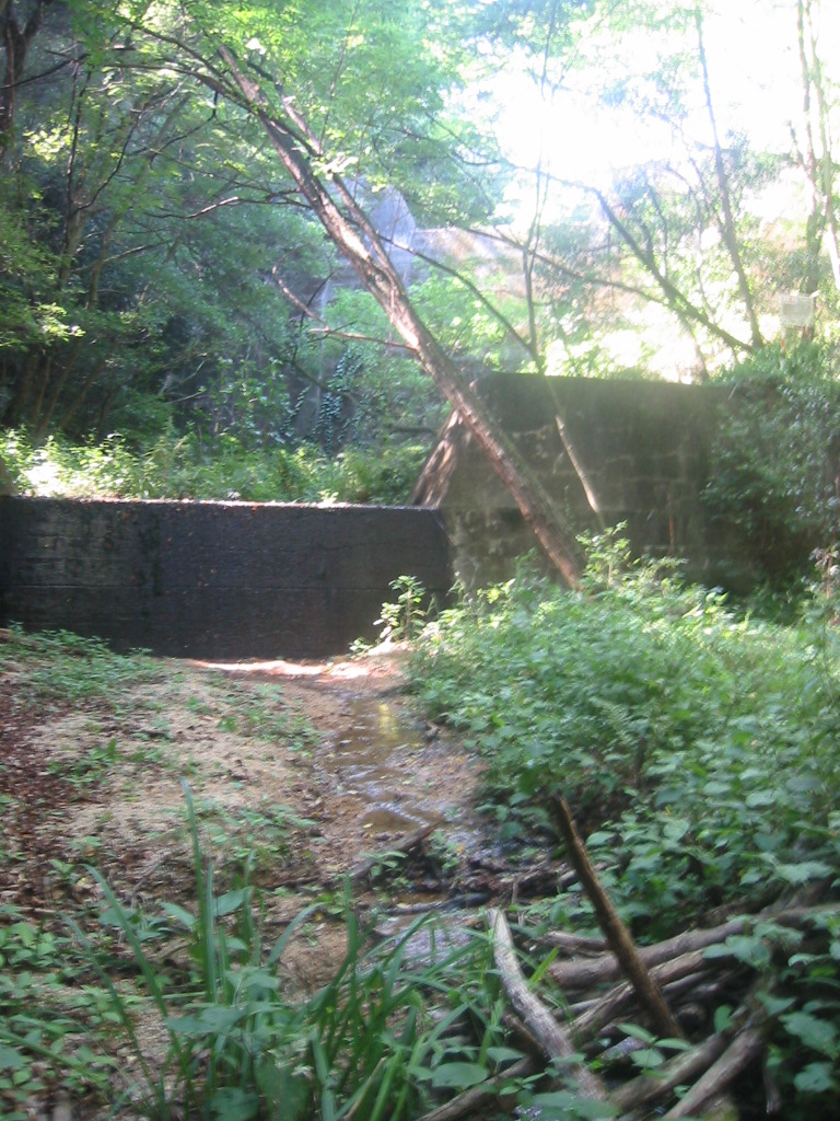f0013998_2052046.jpg