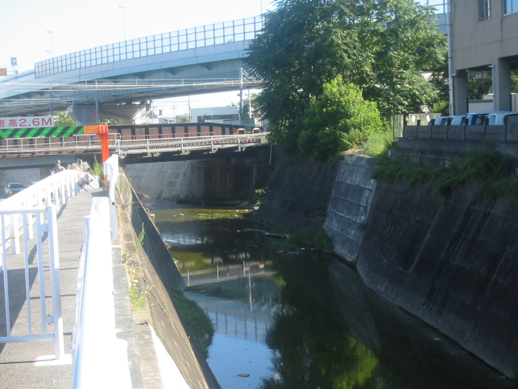 f0013998_20533875.jpg
