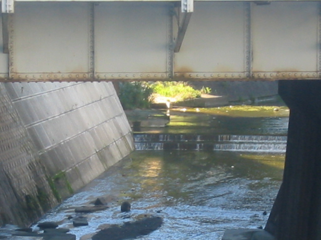 f0013998_20534746.jpg
