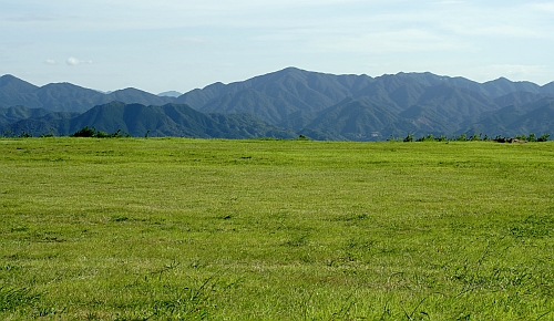 f0130601_11262262.jpg