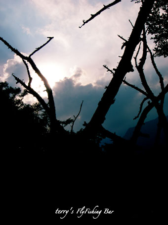 e0009009_20265927.jpg