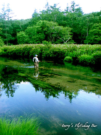 e0009009_20273684.jpg