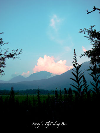 e0009009_20284880.jpg
