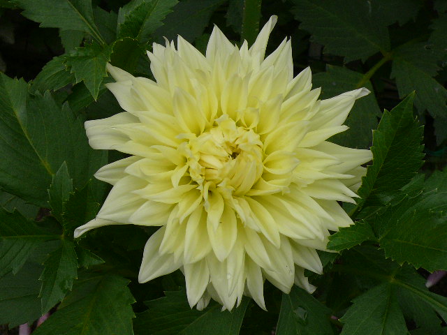 e0026017_15304491.jpg