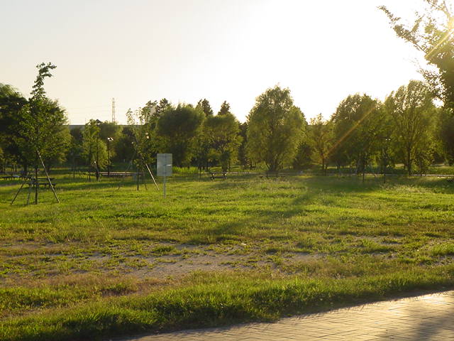e0109622_21352186.jpg