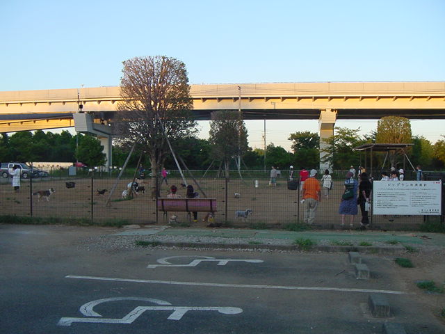 e0109622_21442410.jpg