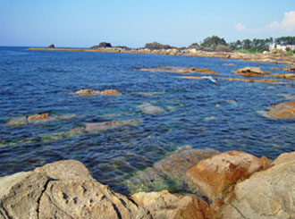 e0112226_15543355.jpg