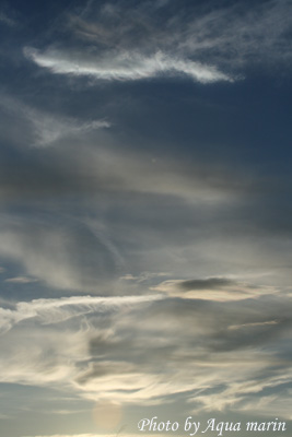 c0045227_75212.jpg