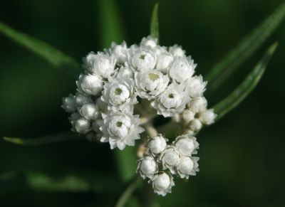 c0104227_17515562.jpg