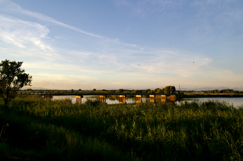 c0077129_8432319.jpg