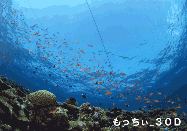 c0133732_11424288.gif