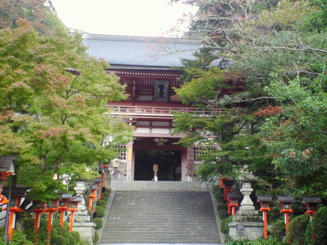 e0064133_1584580.jpg