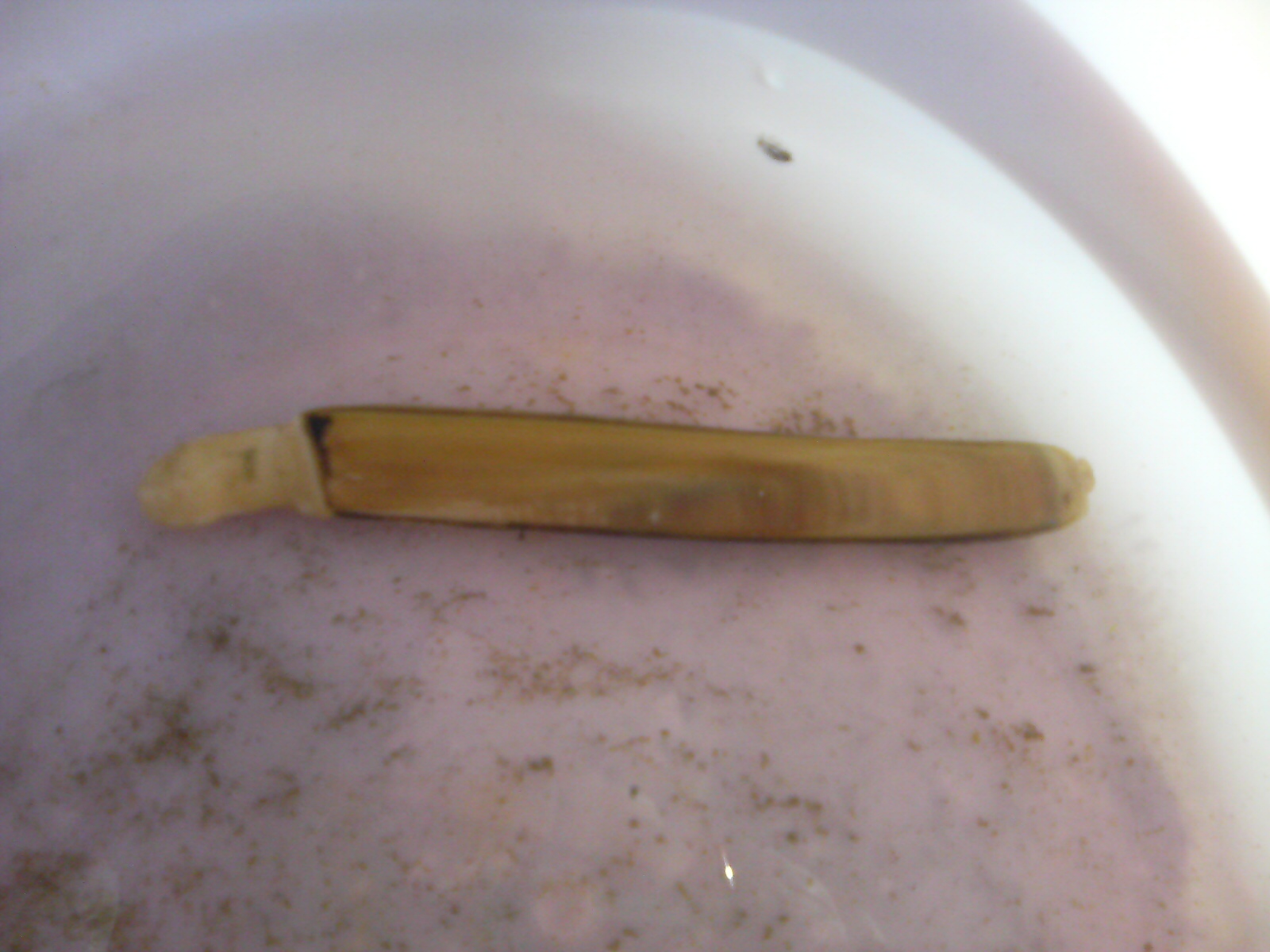f0131934_23131334.jpg