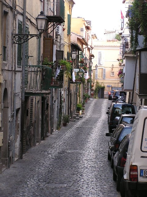 b0016836_238571.jpg