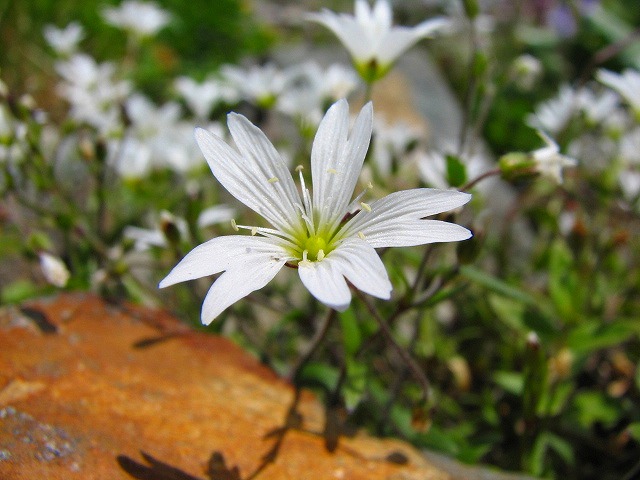 b0097836_10104994.jpg