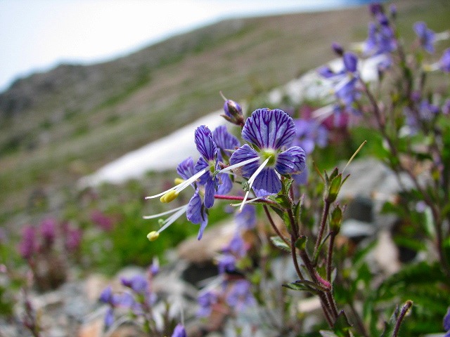 b0097836_10115647.jpg