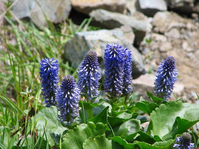 b0097836_10204879.jpg
