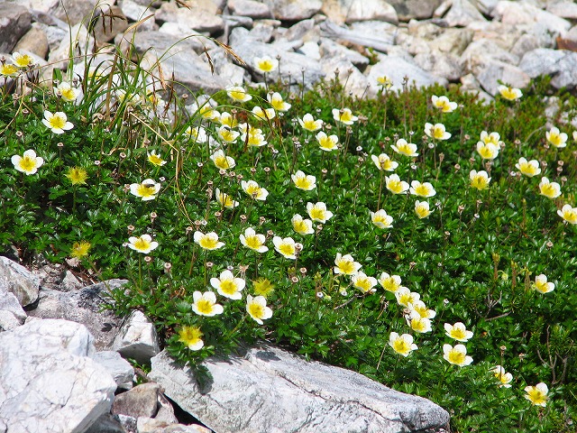 b0097836_10232819.jpg