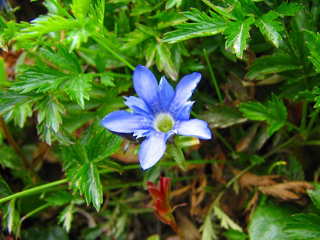 b0097836_10274230.jpg