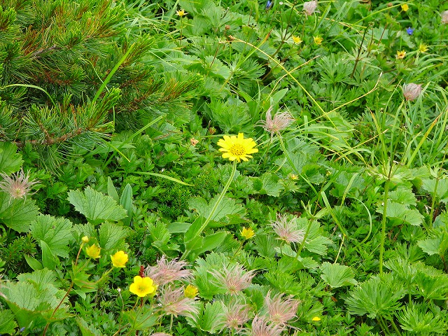 b0097836_10284566.jpg