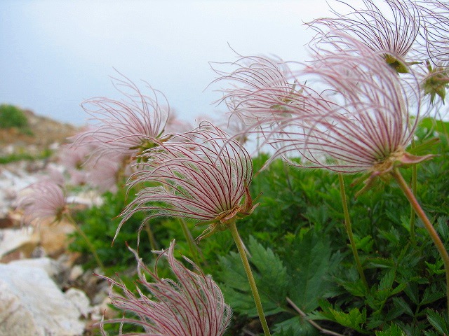 b0097836_10293638.jpg