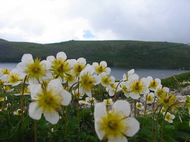 b0097836_10352527.jpg