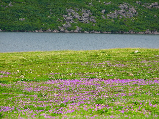 b0097836_10373480.jpg