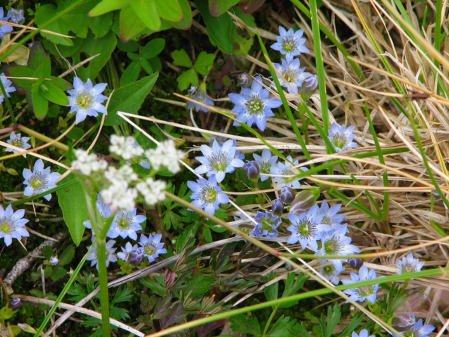 b0097836_10382419.jpg