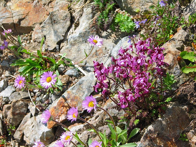 b0097836_10753.jpg