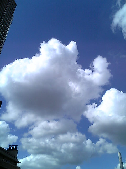 e0087443_23123217.jpg