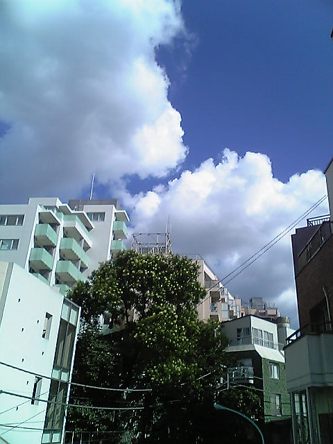 e0087443_23131655.jpg