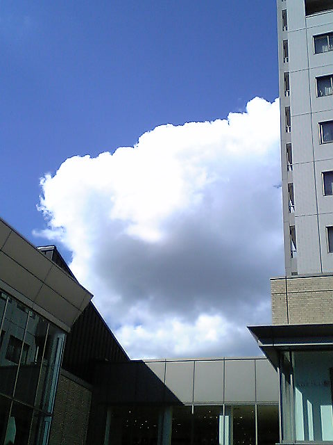 e0087443_23133877.jpg