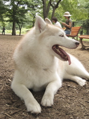 f0140454_16213270.jpg