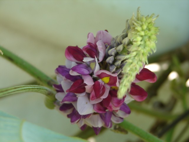 b0061261_21381090.jpg